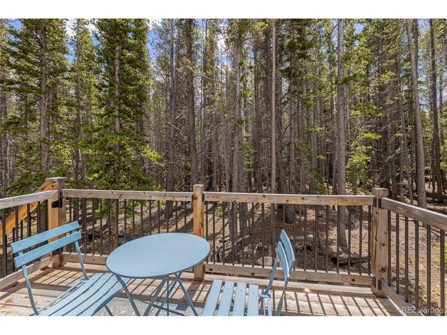 14 Deer Rd, Idaho Springs, CO 80452