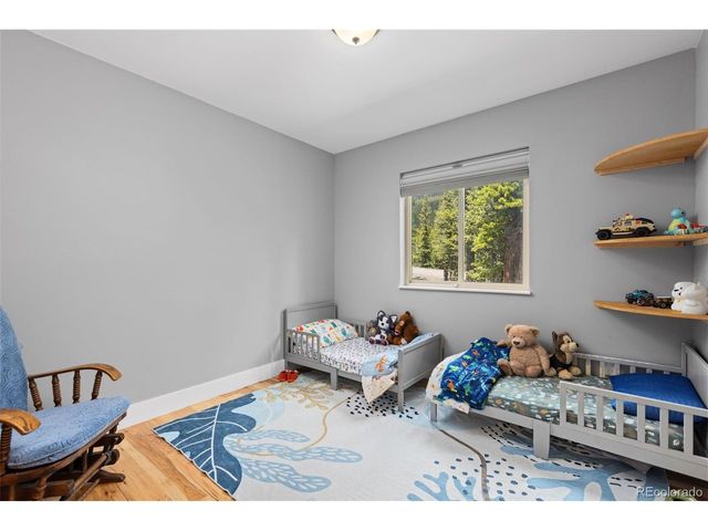 14 Deer Rd, Idaho Springs, CO 80452