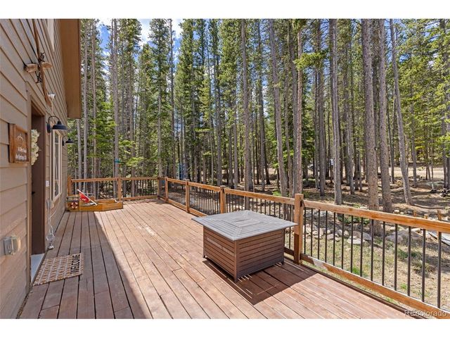 14 Deer Rd, Idaho Springs, CO 80452