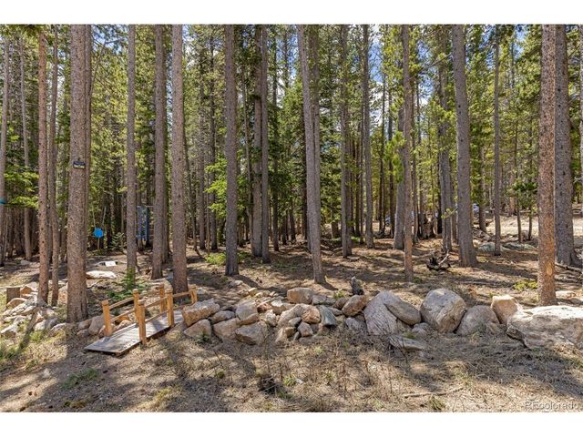 14 Deer Rd, Idaho Springs, CO 80452