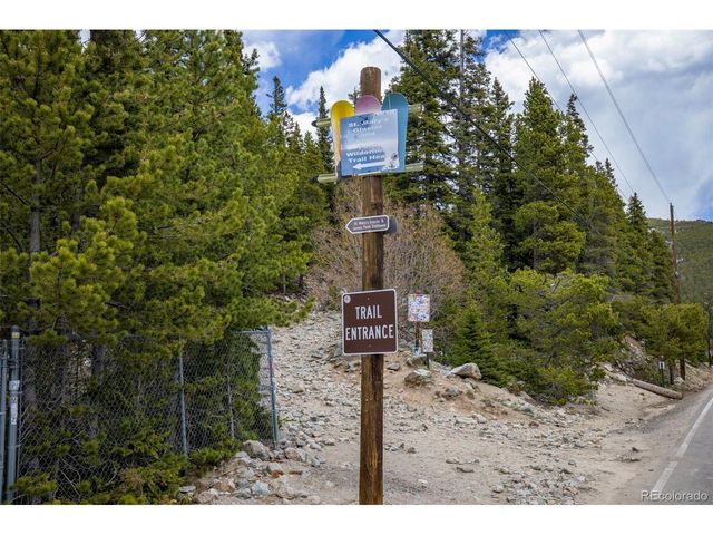14 Deer Rd, Idaho Springs, CO 80452