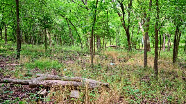 8540 Dixie School Road, Nocona, TX 76255