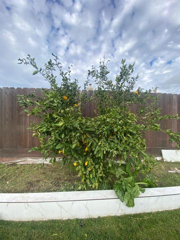 827 Saint Andrew St, Lathrop, CA 95330