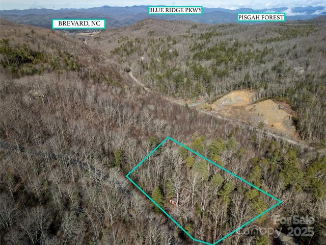 177 Walelu Court, Brevard, NC 28712