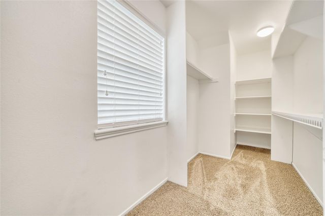 13376 Trail Hollow Drive 3376, Houston, TX 77079