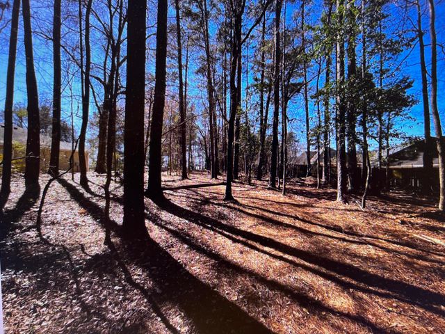 0 Osprey Lane, Martinez, GA 30907