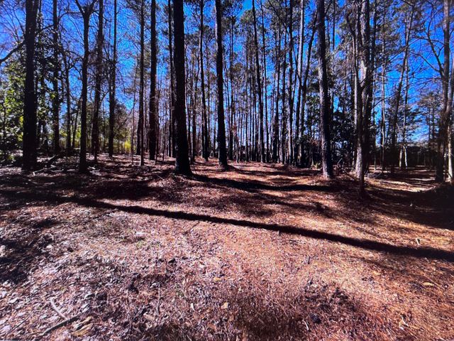 0 Osprey Lane, Martinez, GA 30907