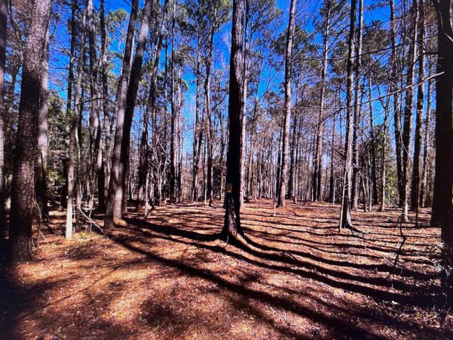 0 Osprey Lane, Martinez, GA 30907