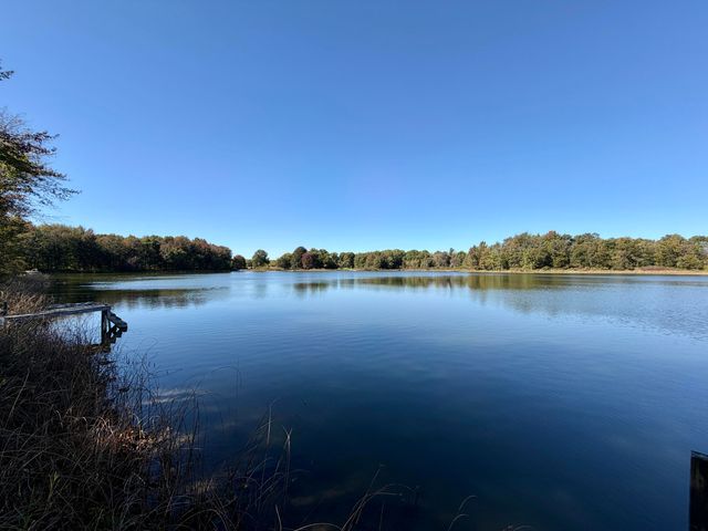 11445 F Drive S, Ceresco, MI 49033