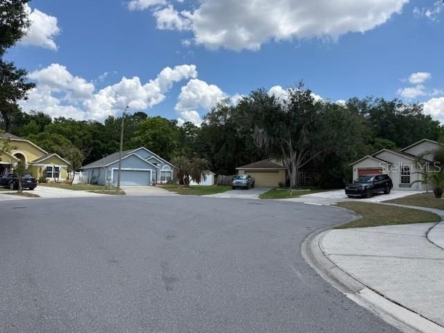 10334 LECON BRANCH COURT, Orlando, FL 32825