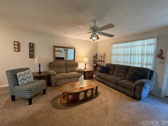 110 Carousel Rd, Southside, AR 72501