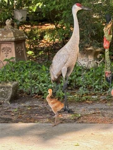 7718 FLEMINGWOOD COURT, Sanford, FL 32771