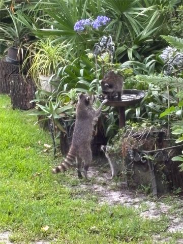 7718 FLEMINGWOOD COURT, Sanford, FL 32771