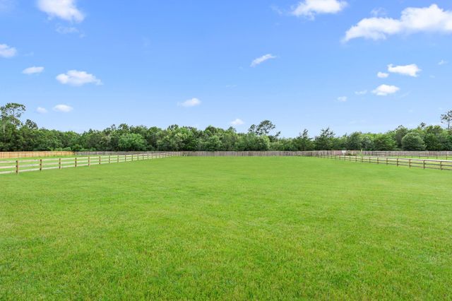 9602 Sweet Tea Lane, Needville, TX 77461