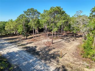 00 CORMORANT RD, Weeki Wachee, FL 34614