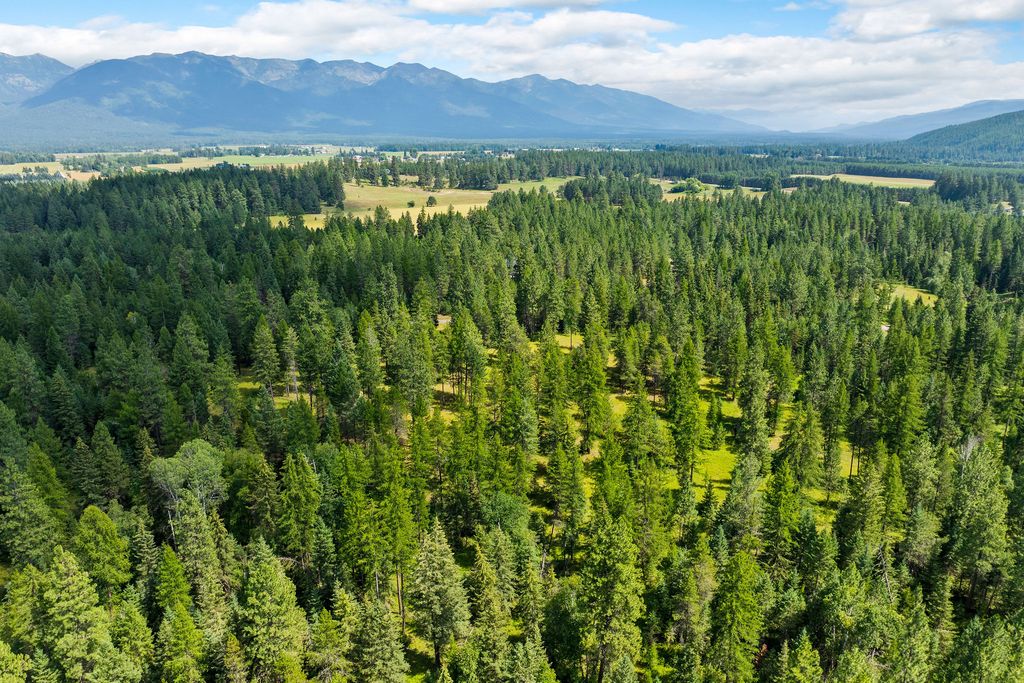 350 Old Paint Trail, Bigfork, MT 59911 photo 109