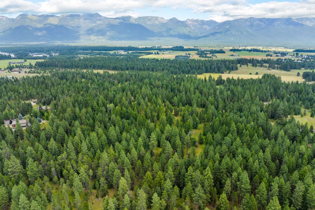 350 Old Paint Trail, Bigfork, MT 59911 photo 110