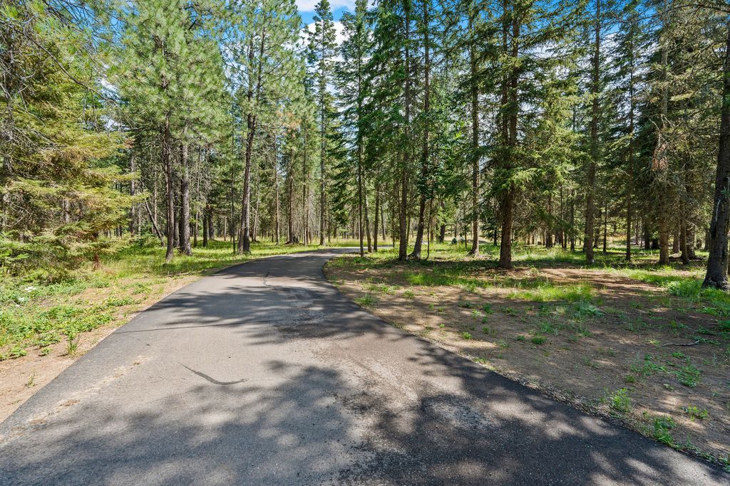 350 Old Paint Trail, Bigfork, MT 59911 photo 97