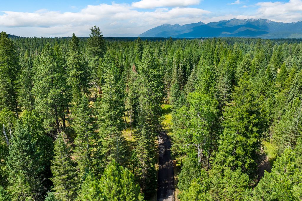 350 Old Paint Trail, Bigfork, MT 59911 photo 99