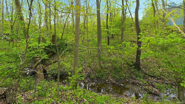 16206 Canyon Ridge Road, Leo, IN 46765