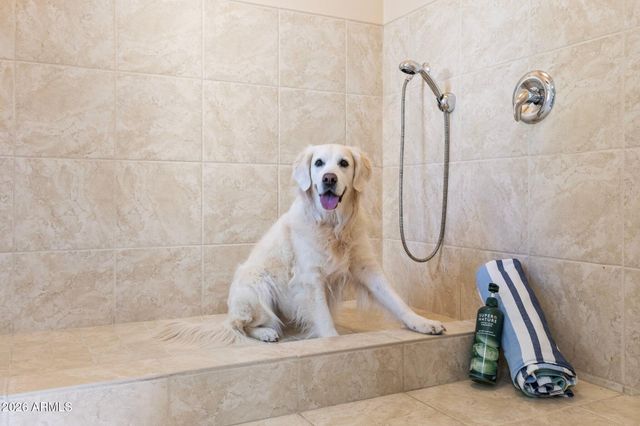 4252 N DIAMOND Point, Mesa, AZ 85207