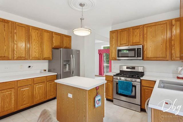 566 W Wildspring Road, Round Lake, IL 60073