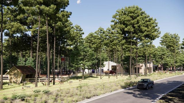 11350 Bellville Drive, Montgomery, TX 77316