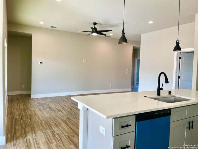 101 Joseph Lilley, Blanco, TX 78606
