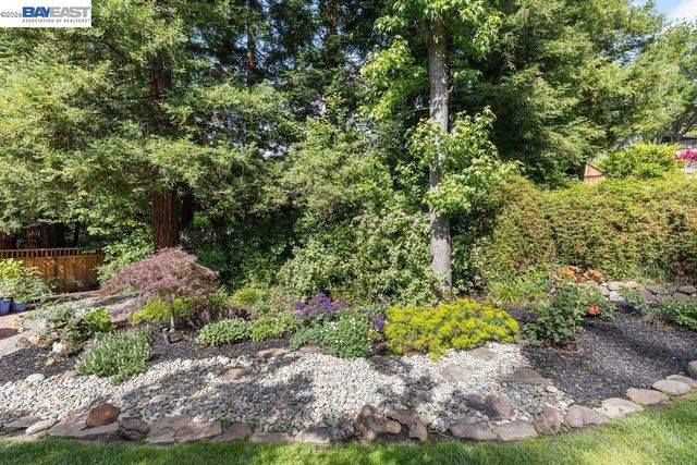 31 Arjang Ct, Alamo, CA 94507