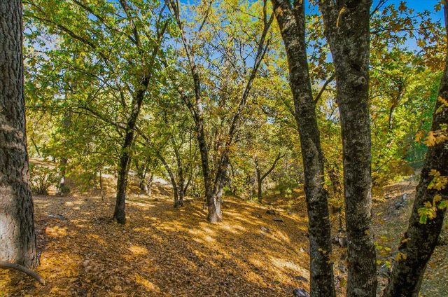 5617 Indian Hills Rd, Murphys, CA 95247