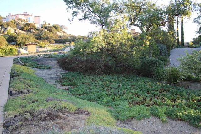 Little Canyon Lane, Escondido, CA 92026