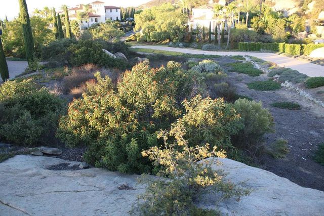 Little Canyon Lane, Escondido, CA 92026