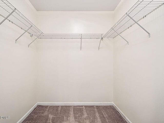 1120 Renewal Place 105, Raleigh, NC 27603