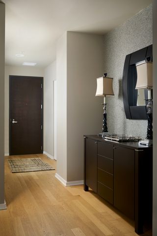 240 E Illinois Street 3001, Chicago, IL 60611