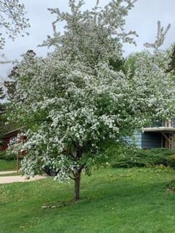 4514 Wakefield Street, Madison, WI 53711