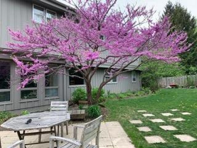 4514 Wakefield Street, Madison, WI 53711