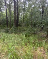 TBD Moonbeam Dr, Livingston, TX 77351