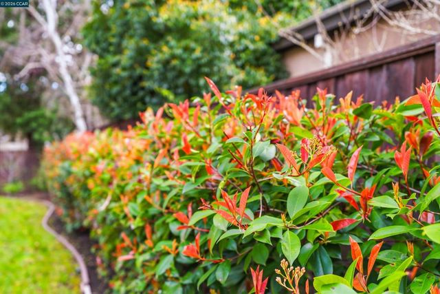 208 208 Kaitlyn Ln, Danville, CA 94506