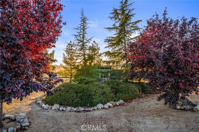 388 Calaveras Road, Pinon Hills, CA 92372