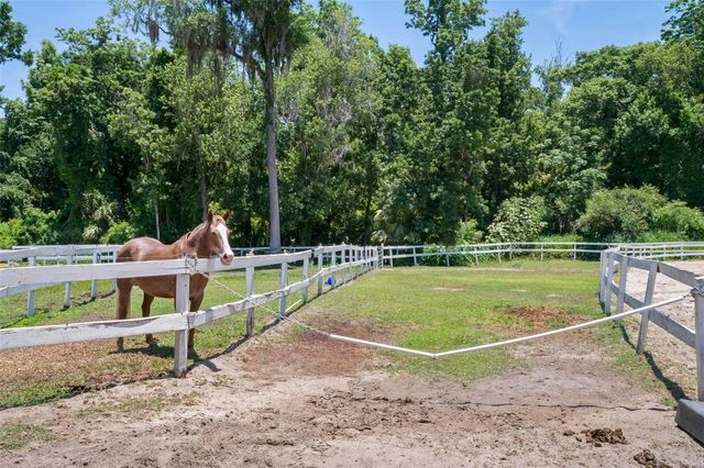 202 JASMINE LANE, Longwood, FL 32779