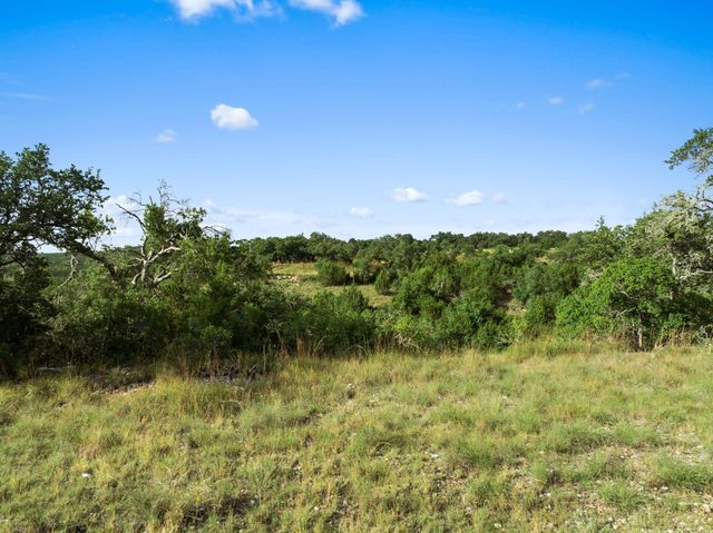 202 Saint Helena CT, Driftwood, TX 78619