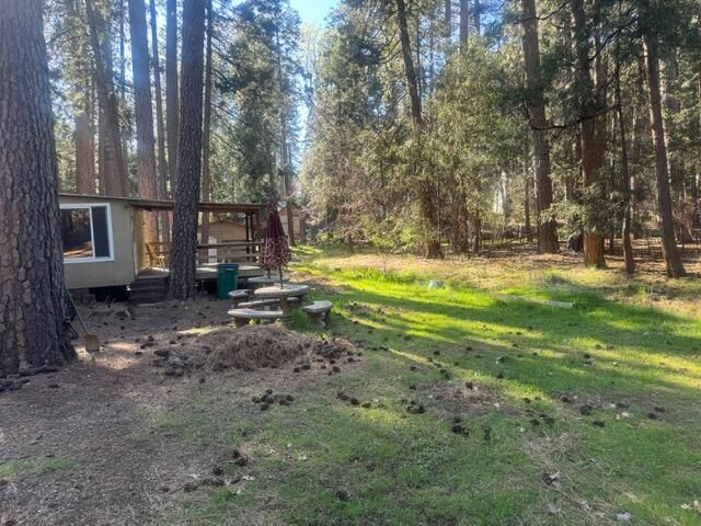 30830 Thumper Drive, Shingletown, CA 96088