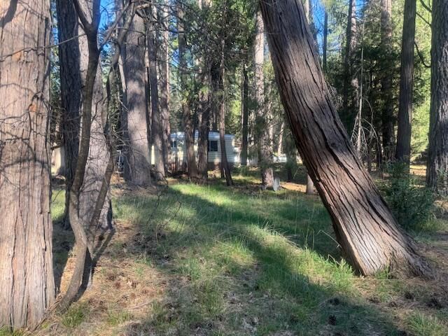 30830 Thumper Drive, Shingletown, CA 96088