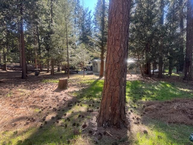 30830 Thumper Drive, Shingletown, CA 96088