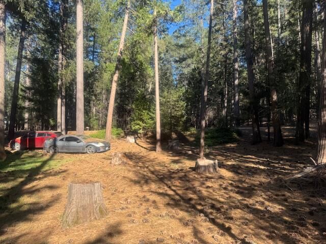 30830 Thumper Drive, Shingletown, CA 96088