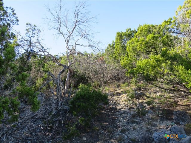 TBD Bradford Drive, Copperas Cove, TX 76522