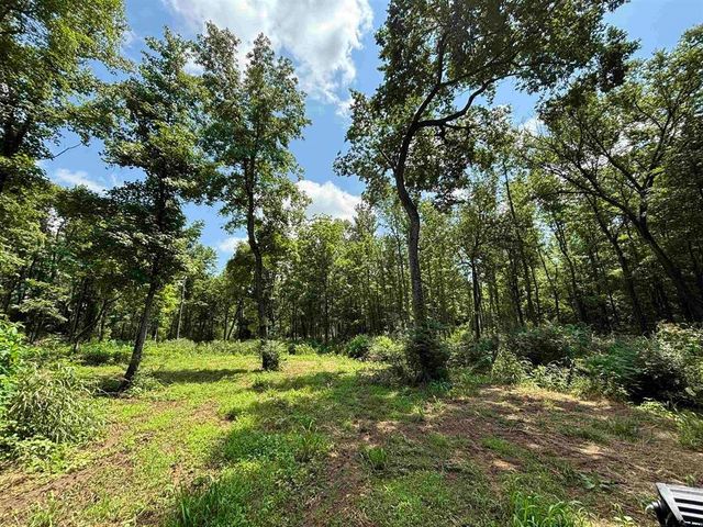 413 S CR 3101, Jacksonville, TX 75766