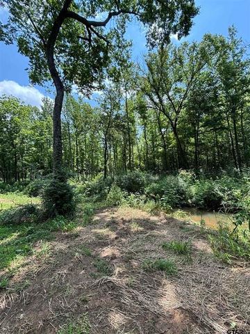 413 S CR 3101, Jacksonville, TX 75766