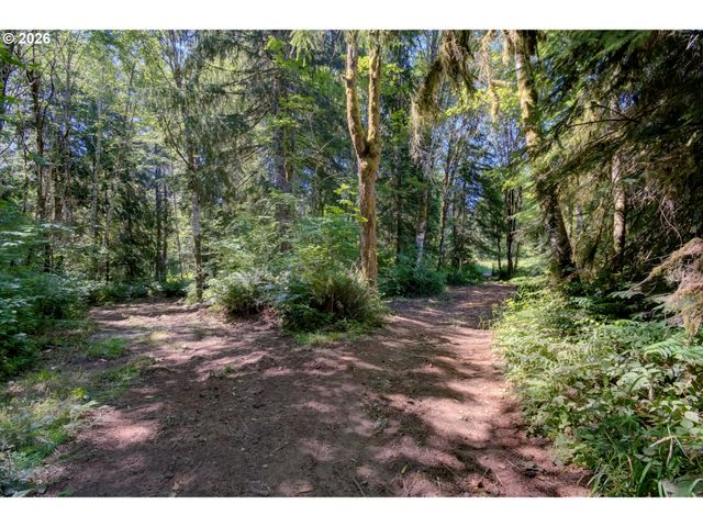 38714 Ne ELLIOTT Rd, Yacolt, WA 98675