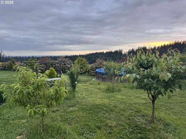 25375 S ELDORADO Rd, Mulino, OR 97042